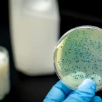 Latte in scadenza: cosa puoi davvero farci senza rischi