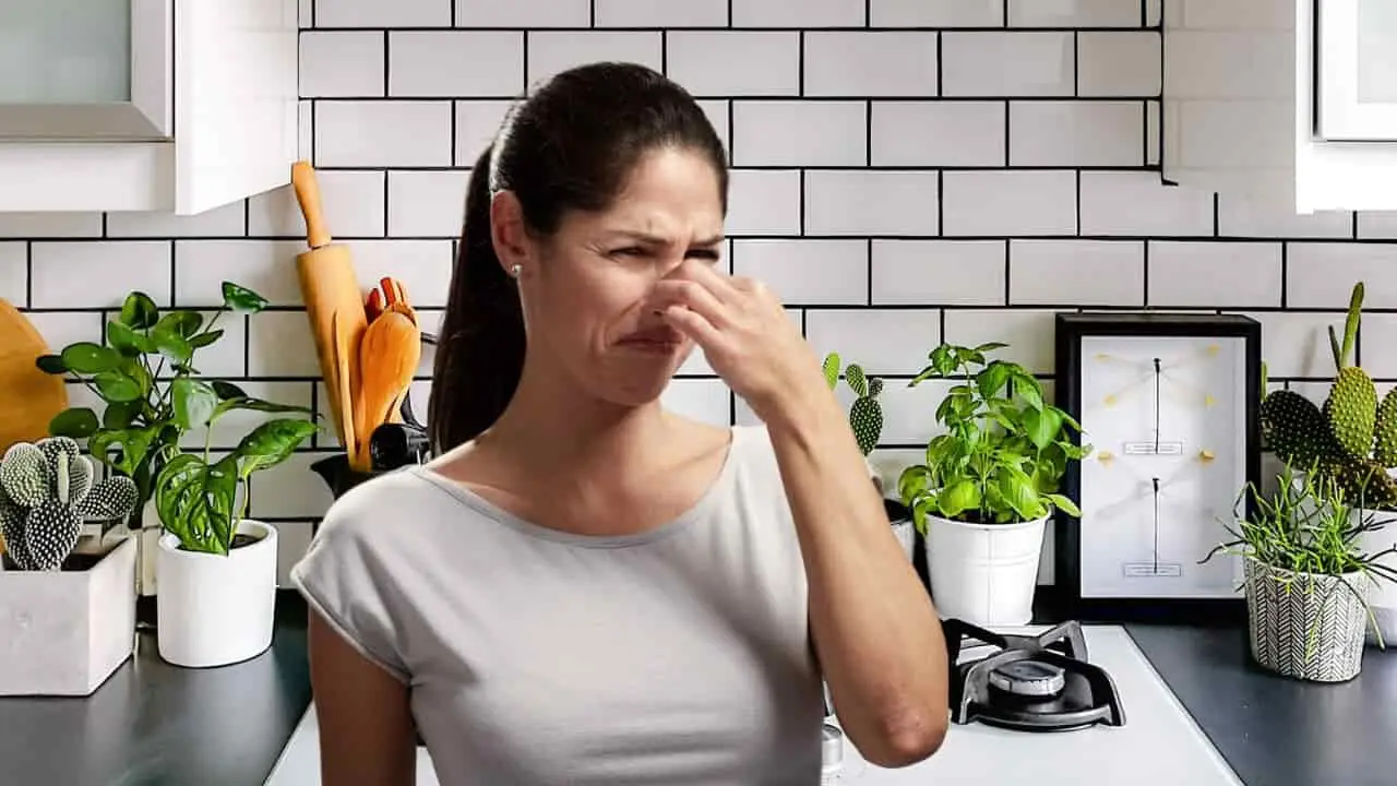 Spezie in cucina: l’errore che fa perdere tutto l’aroma