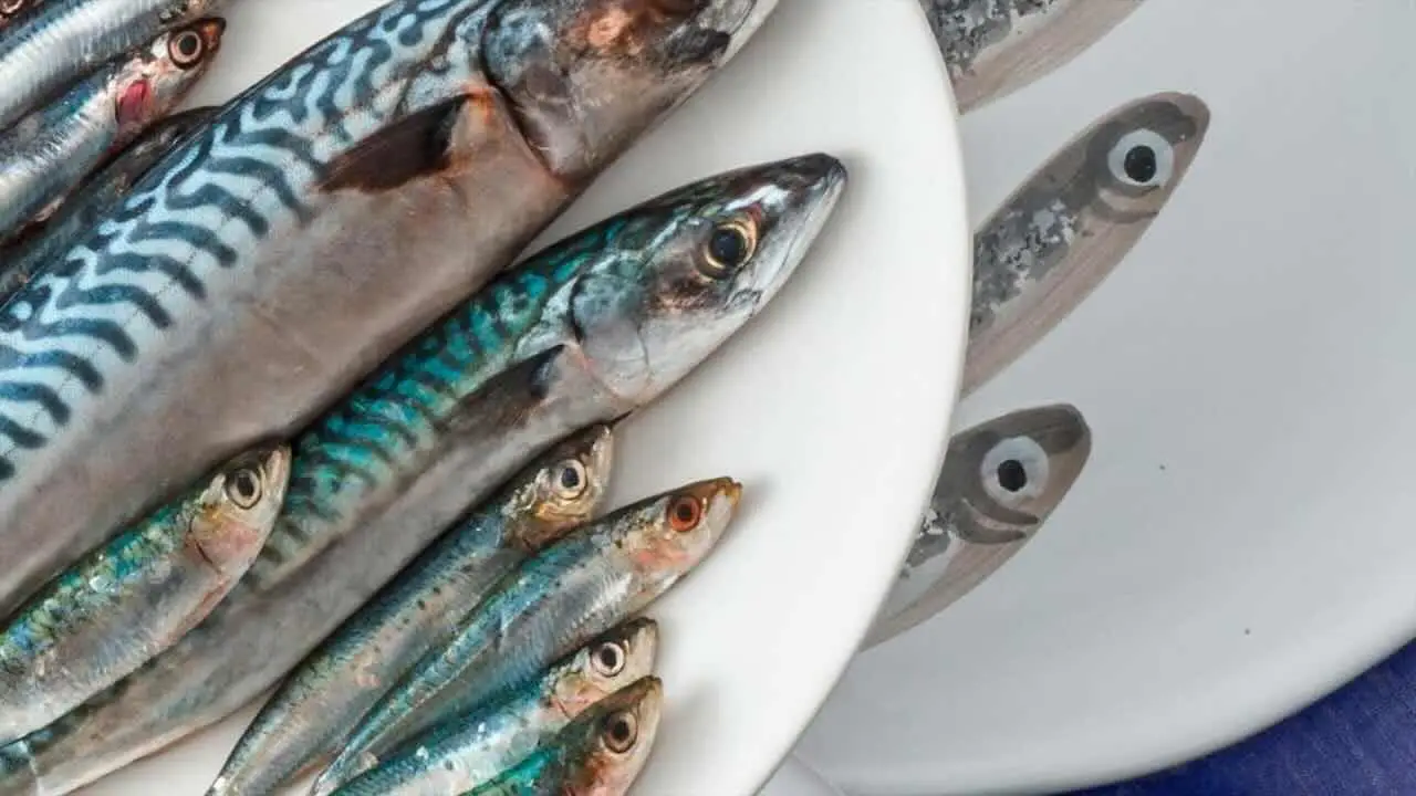 Come riconoscere un pesce davvero fresco senza farsi ingannare